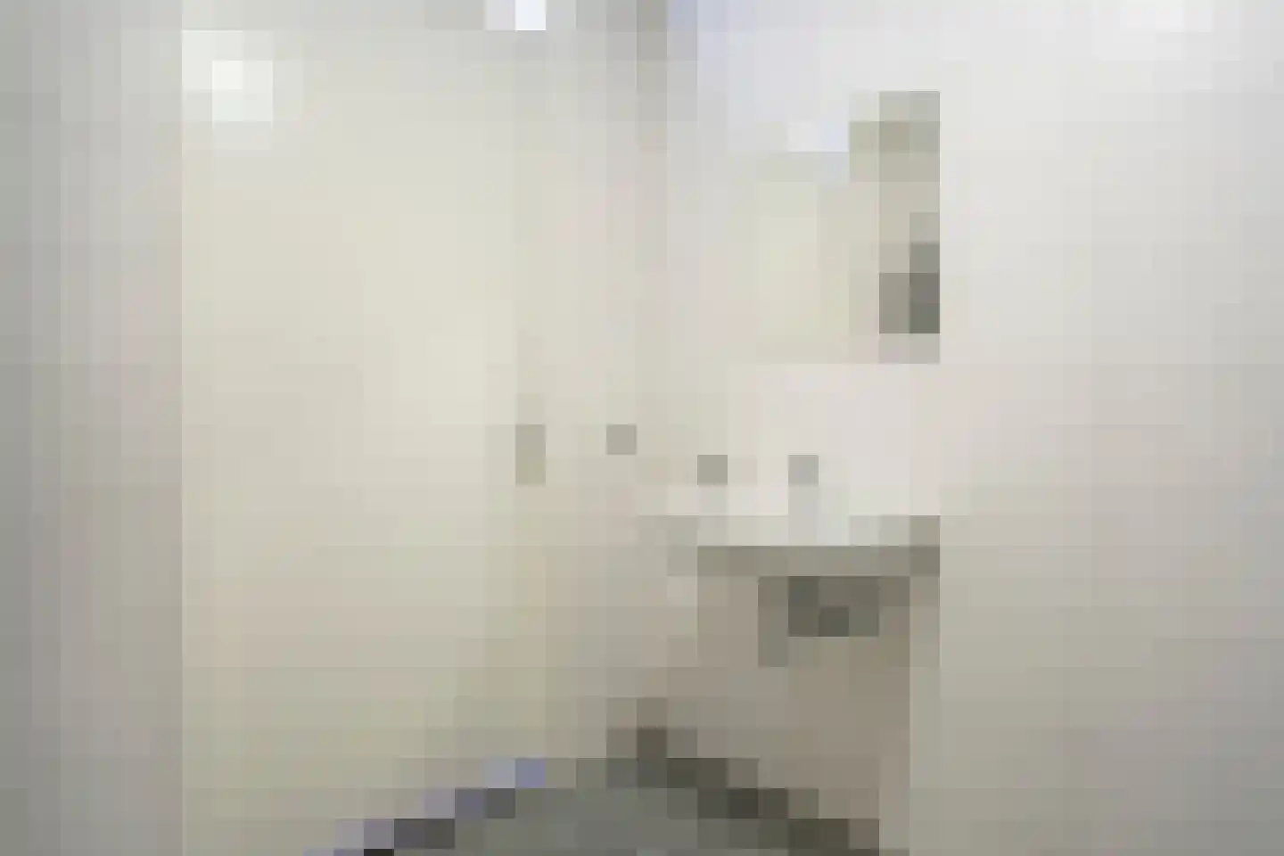 Bentinckshof 16 Meteren thumbnail 23
