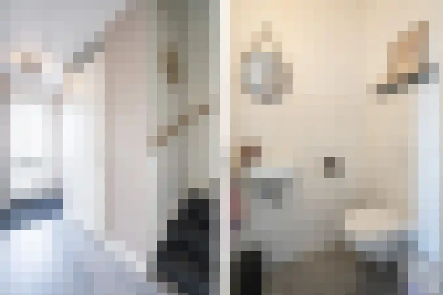 Bentinckshof 16 Meteren thumbnail 7