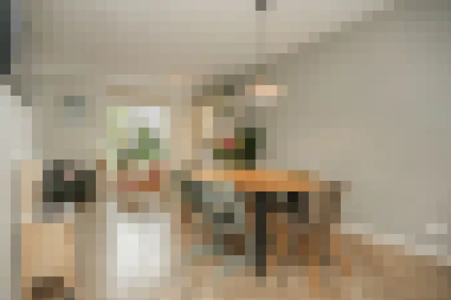 Bentinckshof 22 Meteren thumbnail 10