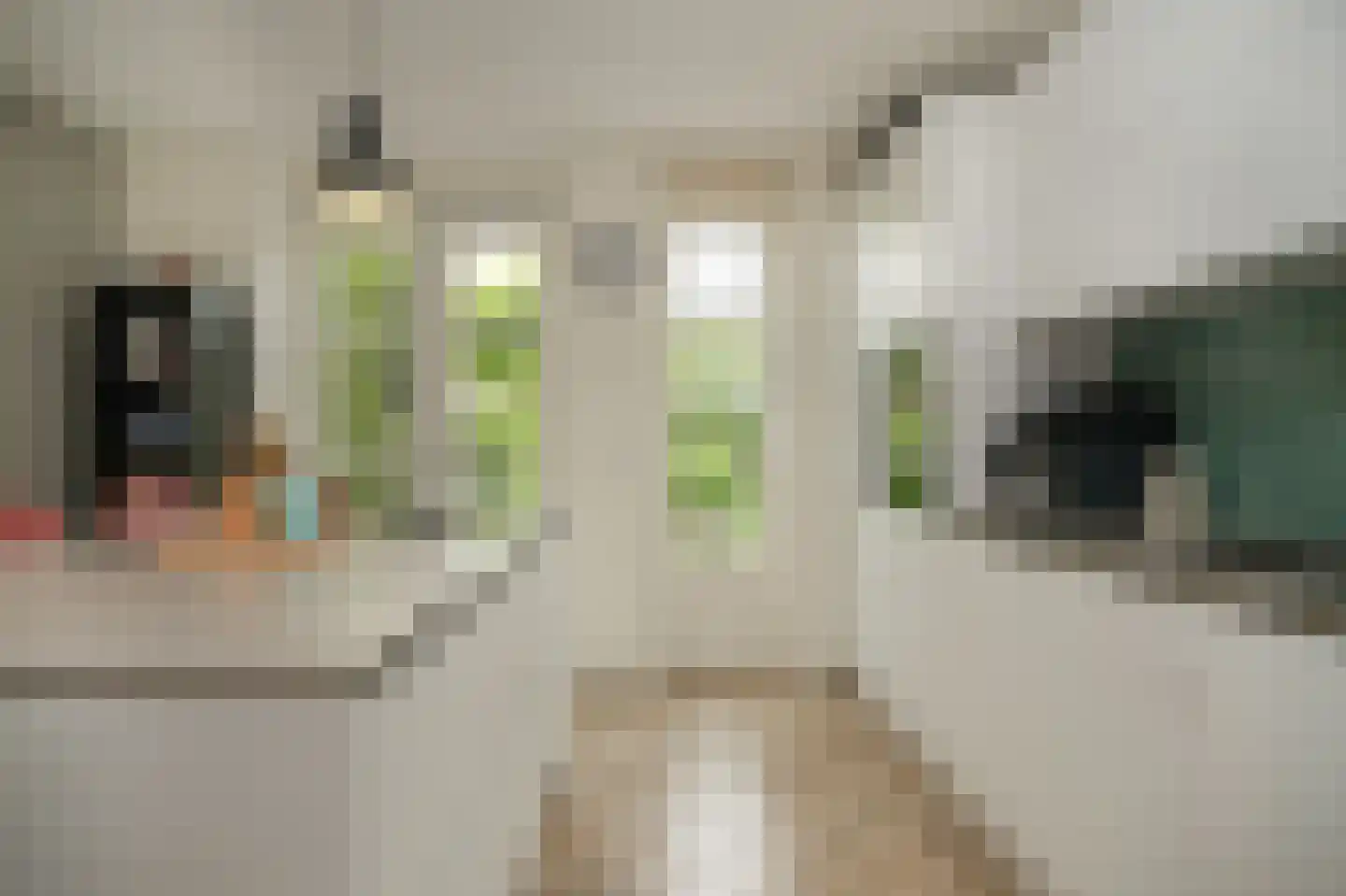 Bentinckshof 22 Meteren thumbnail 12