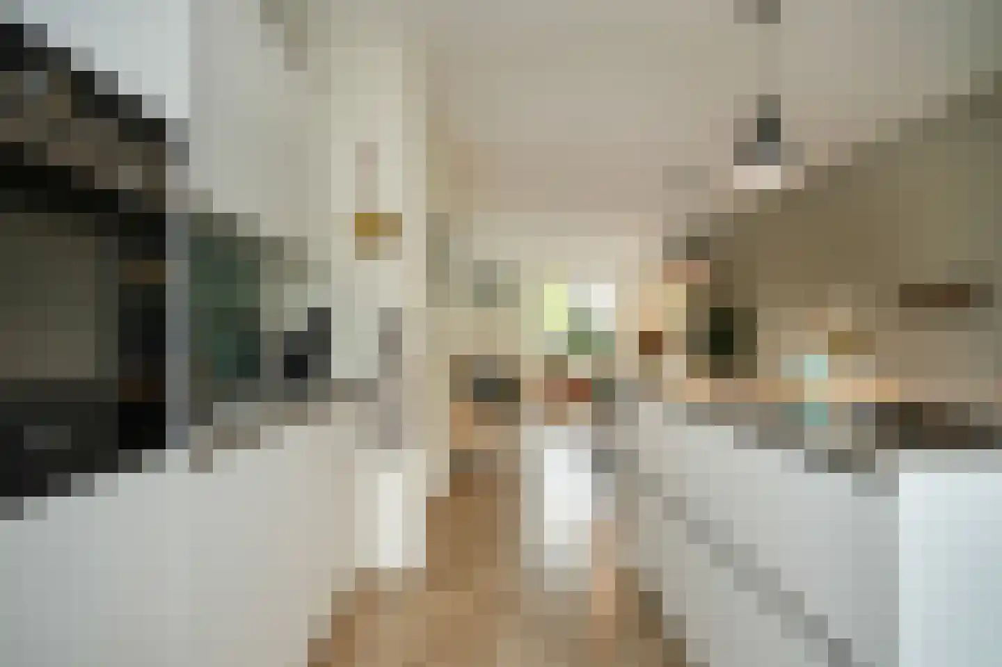Bentinckshof 22 Meteren thumbnail 14