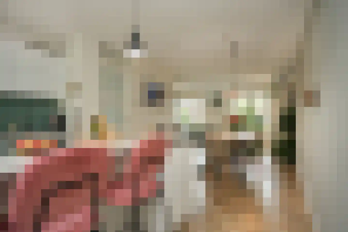 Bentinckshof 22 Meteren thumbnail 15