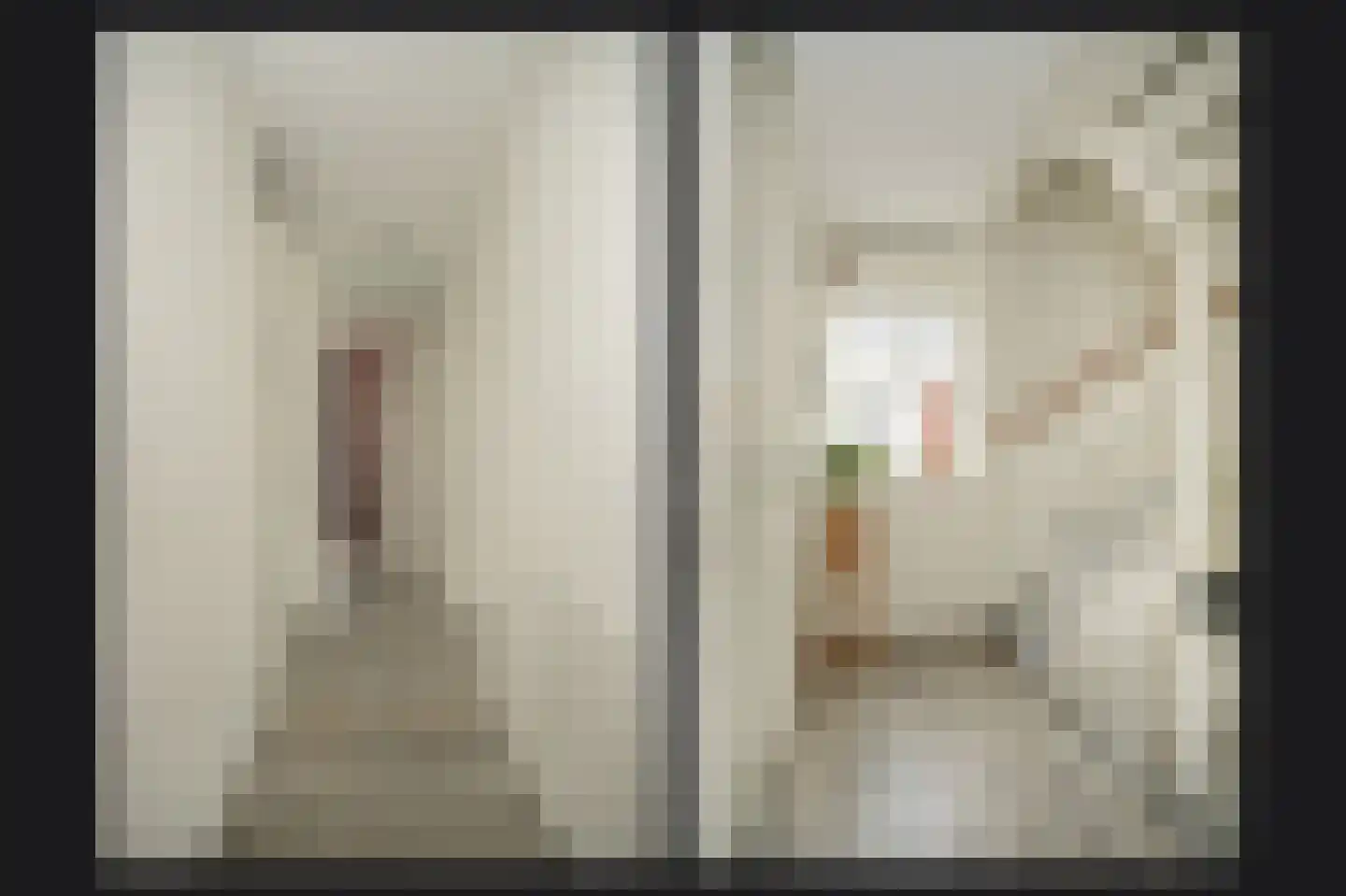 Bentinckshof 22 Meteren thumbnail 24