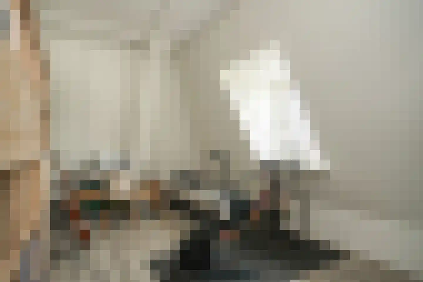 Bentinckshof 22 Meteren thumbnail 27