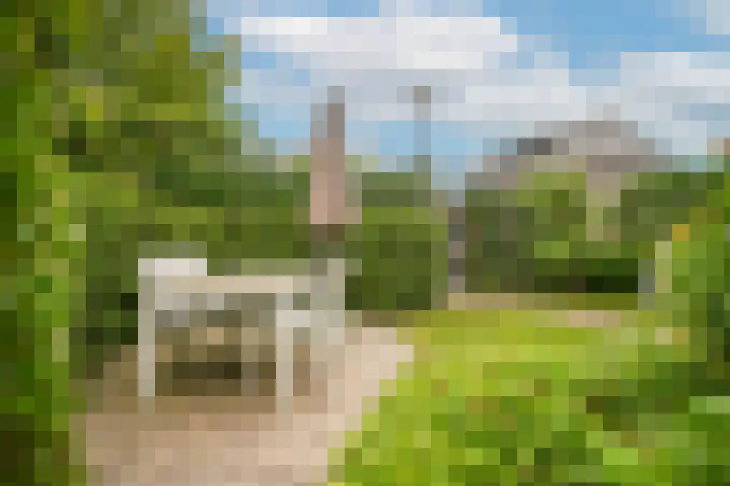 Bentinckshof 22 Meteren thumbnail 35