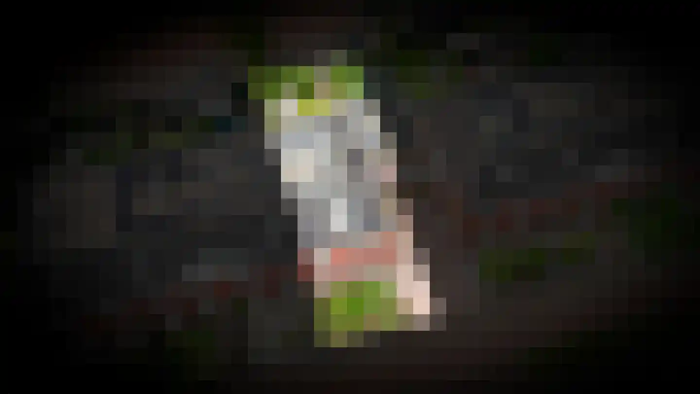 Bentinckshof 22 Meteren thumbnail 41