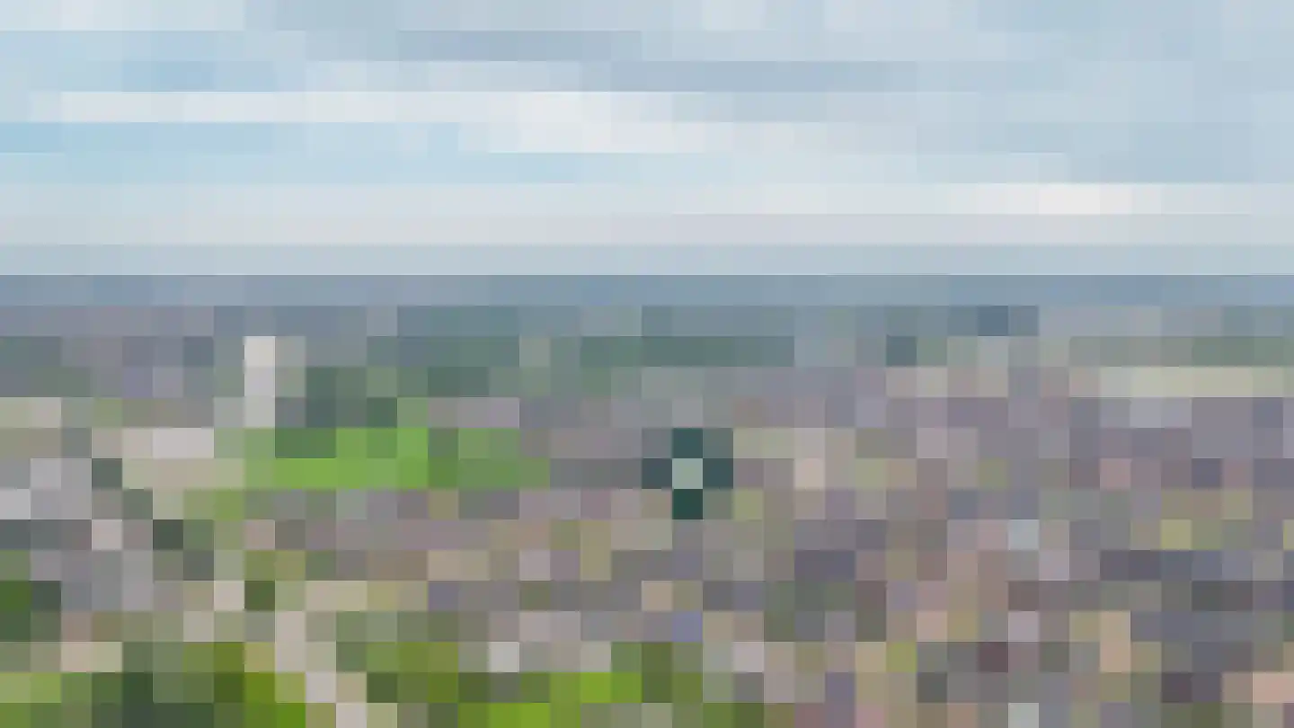 Bentinckshof 22 Meteren thumbnail 43