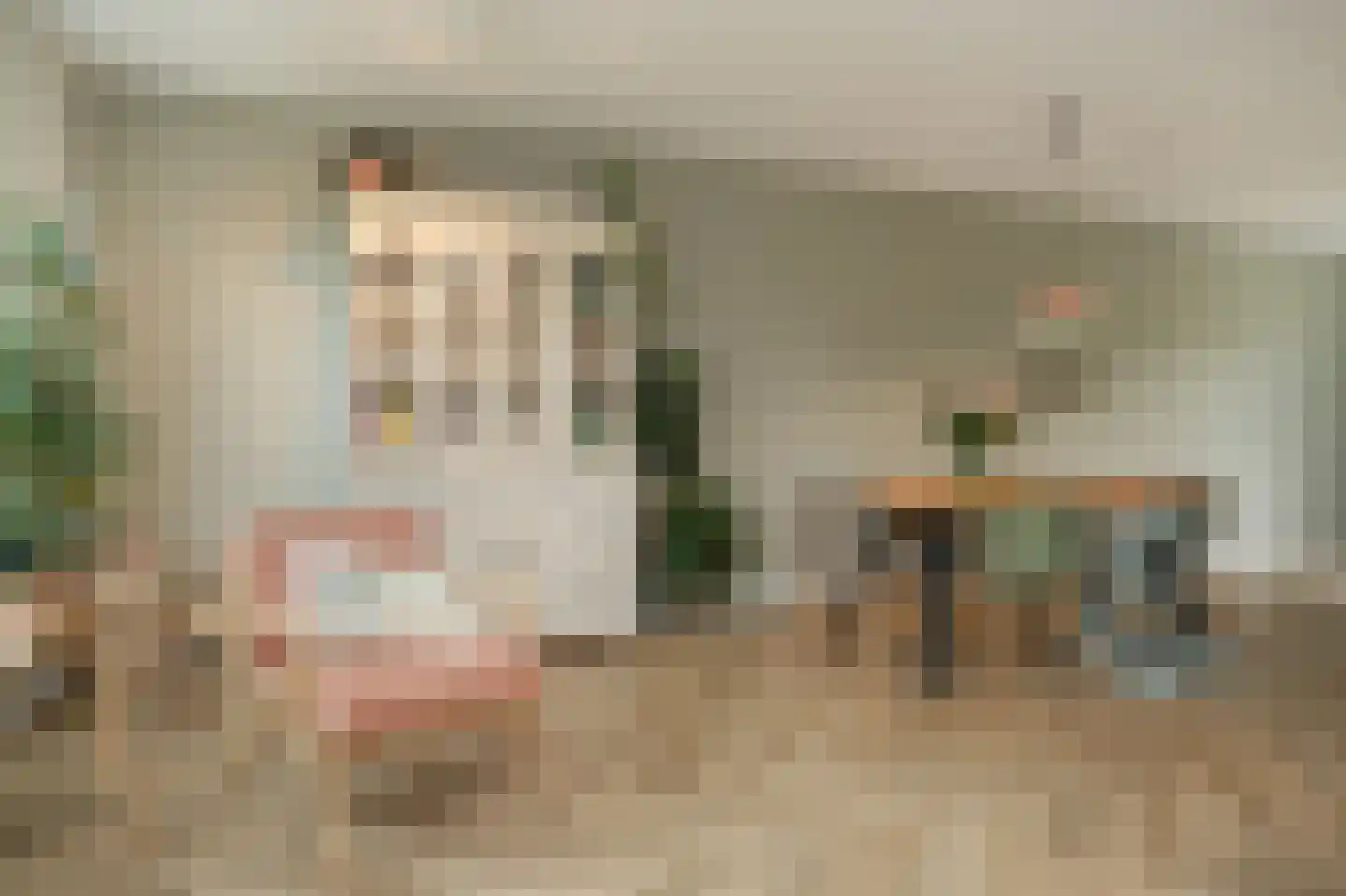 Bentinckshof 22 Meteren thumbnail 7