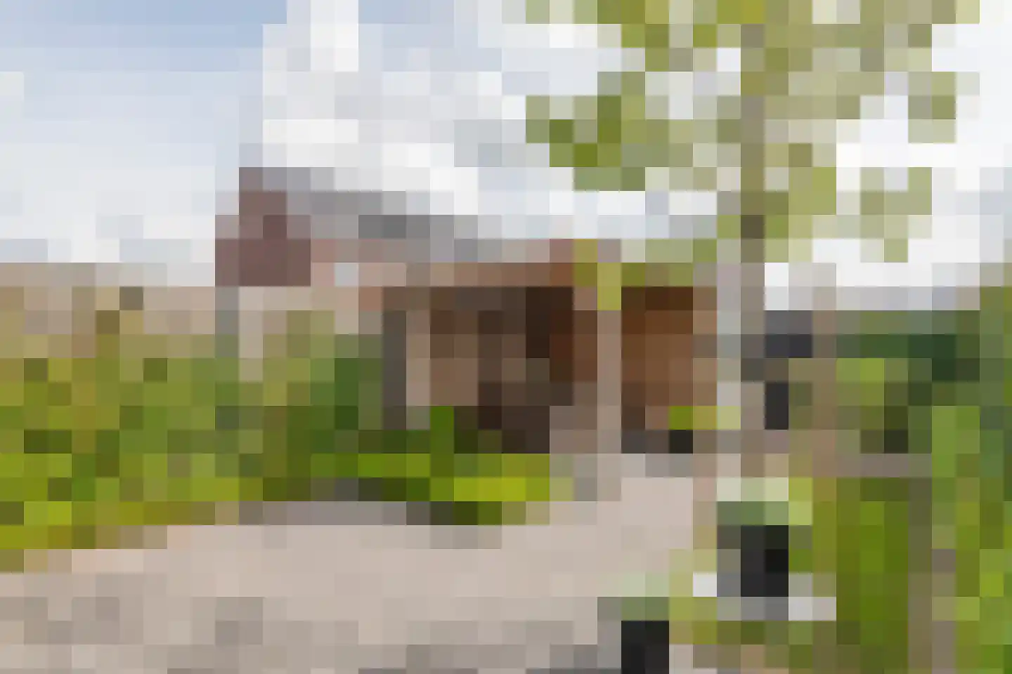 Bentinckshof 58 Meteren thumbnail 23