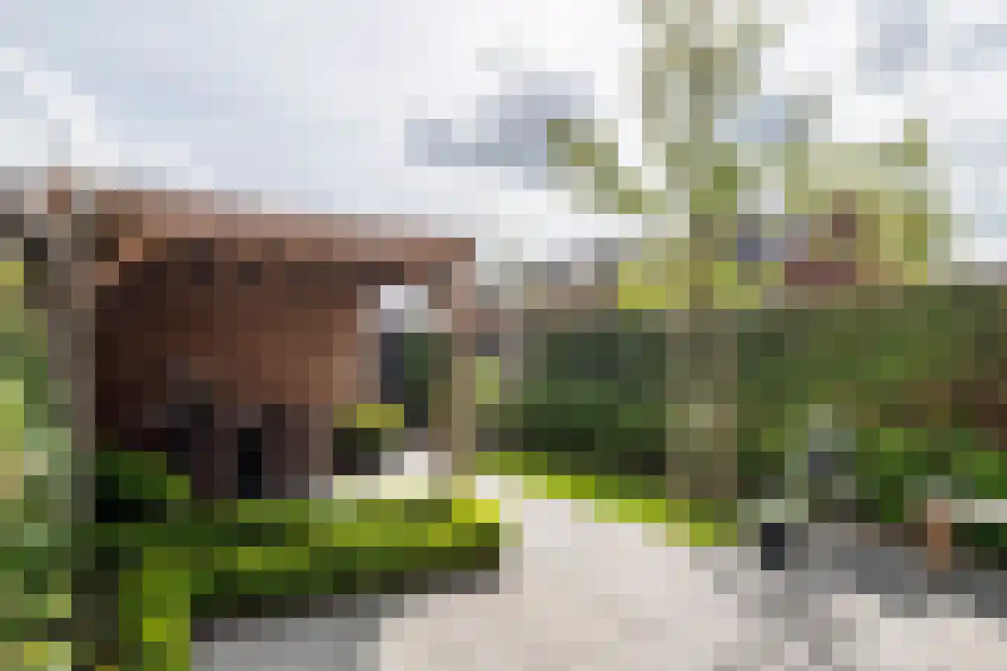 Bentinckshof 58 Meteren thumbnail 24