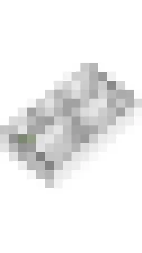 Bentinckshof 58 Meteren thumbnail 34
