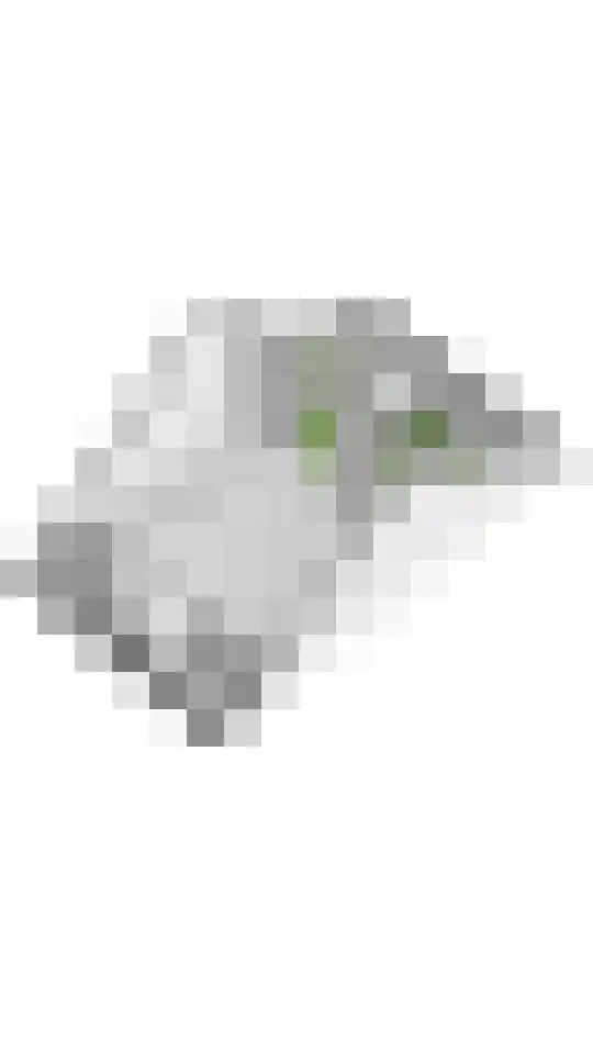 Bentinckshof 58 Meteren thumbnail 36