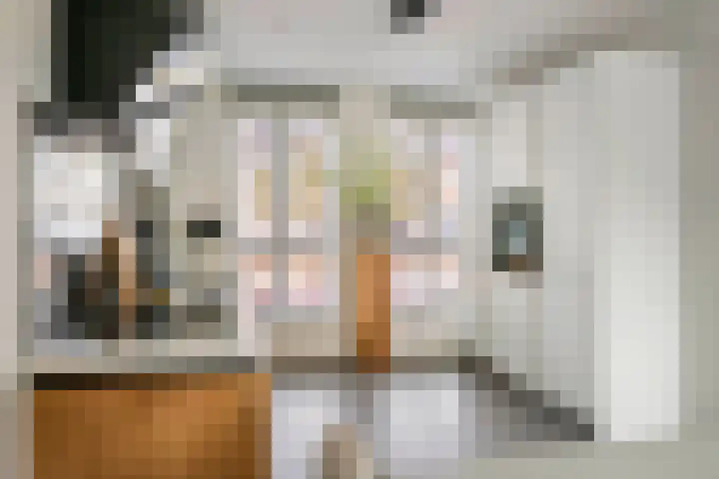 Bentinckshof 58 Meteren thumbnail 5