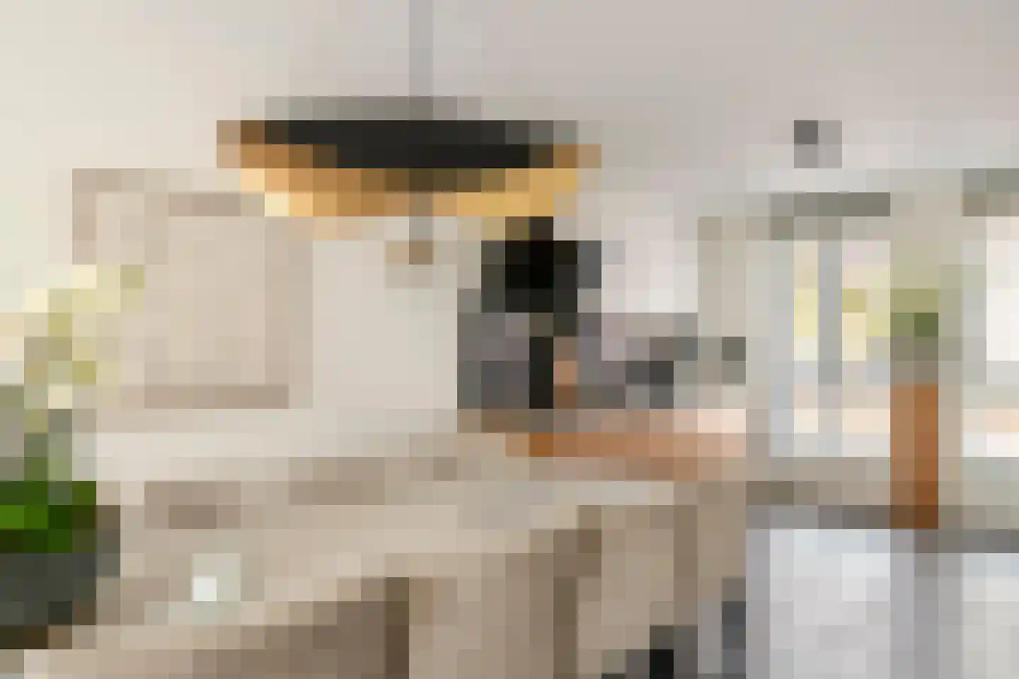 Bentinckshof 58 Meteren thumbnail 7