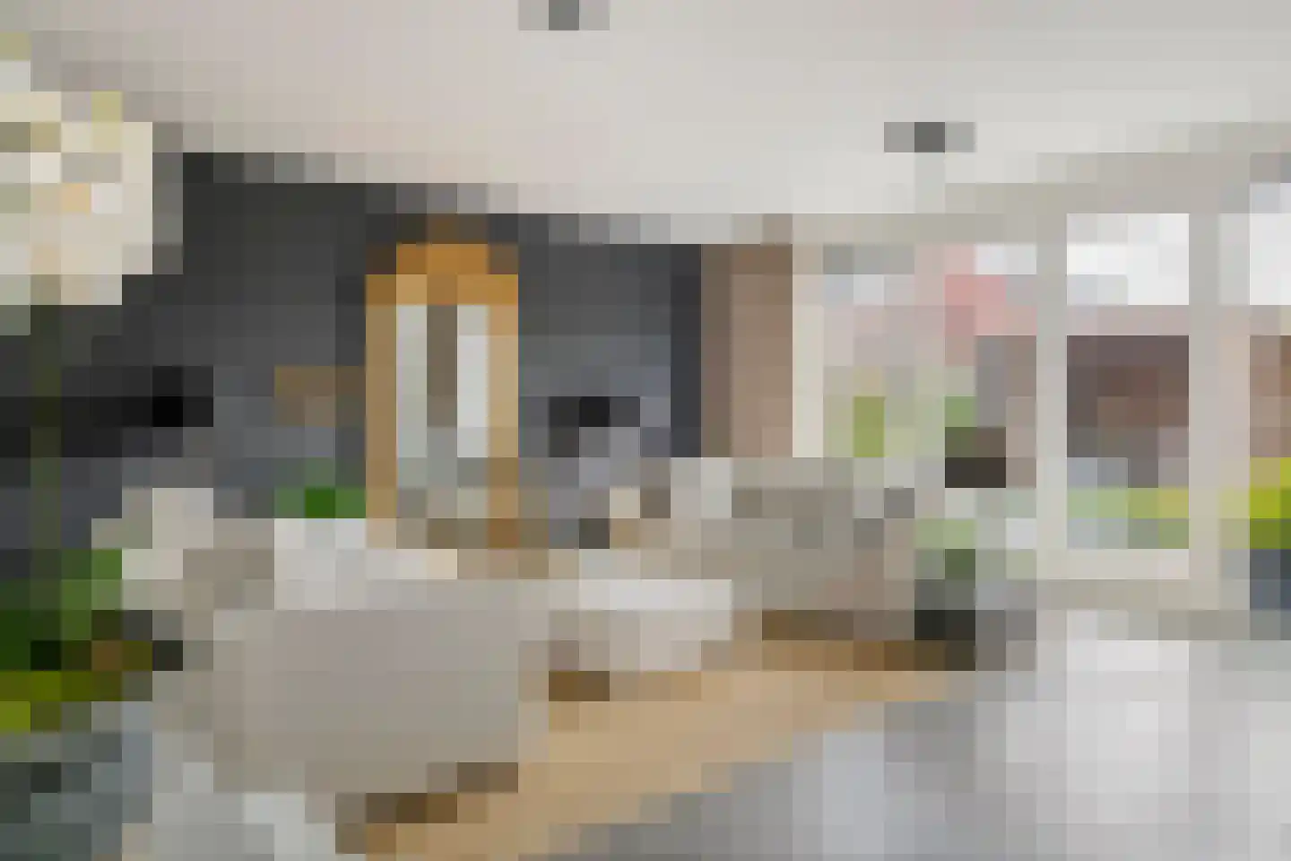 Bentinckshof 58 Meteren thumbnail 9