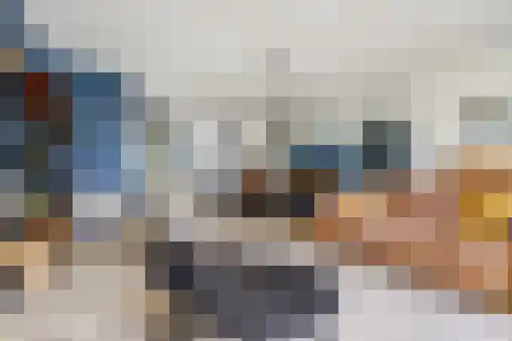 Bentinckshof 62 Meteren thumbnail 10