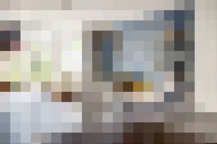 Bentinckshof 62 Meteren thumbnail 15