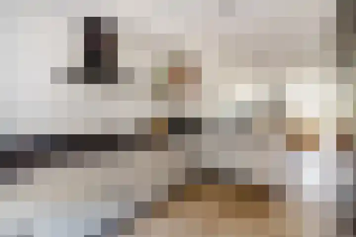 Bentinckshof 62 Meteren thumbnail 16