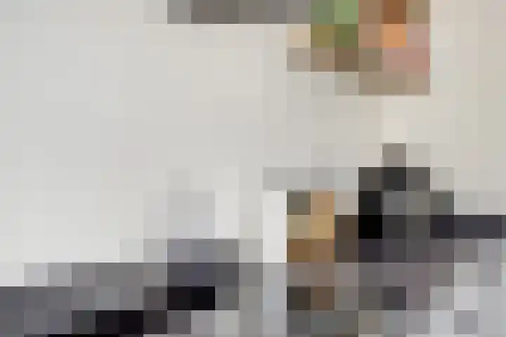 Bentinckshof 62 Meteren thumbnail 17