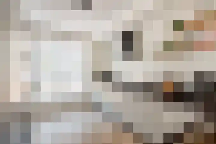 Bentinckshof 62 Meteren thumbnail 18