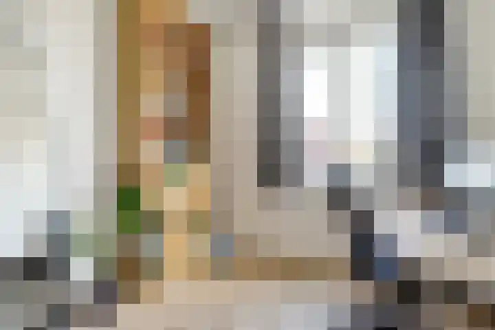 Bentinckshof 62 Meteren thumbnail 27