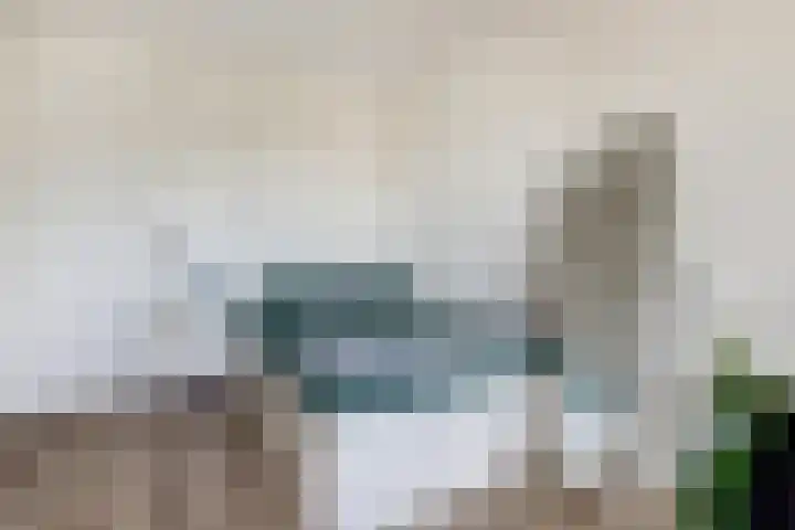 Bentinckshof 62 Meteren thumbnail 29