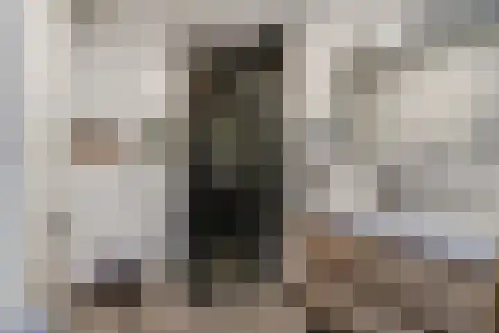 Bentinckshof 62 Meteren thumbnail 30