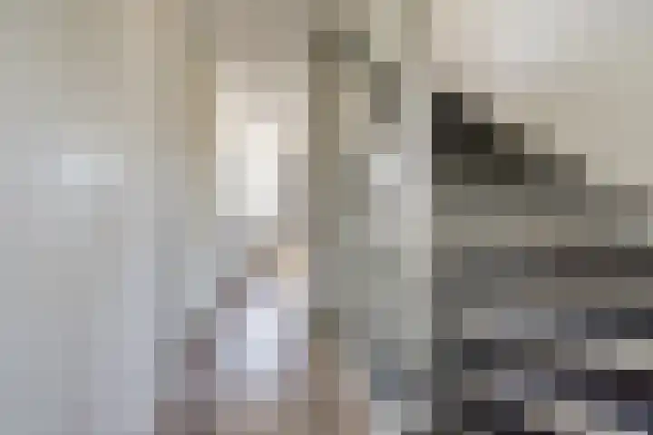 Bentinckshof 62 Meteren thumbnail 34