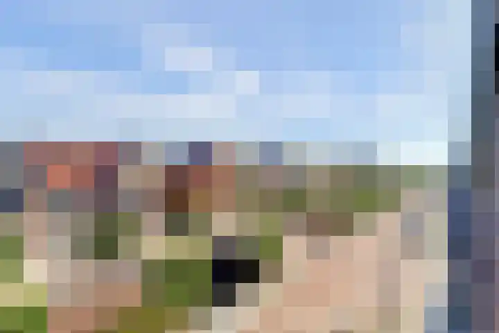 Bentinckshof 62 Meteren thumbnail 39