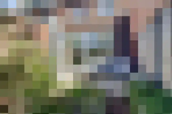 Bentinckshof 62 Meteren thumbnail 4
