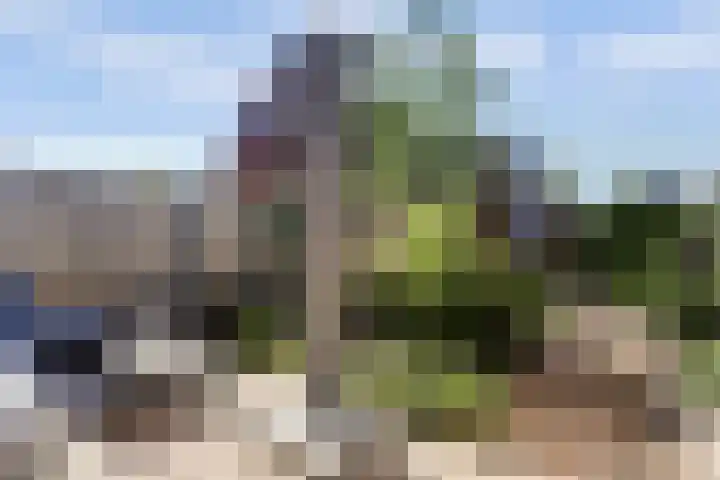 Bentinckshof 62 Meteren thumbnail 40
