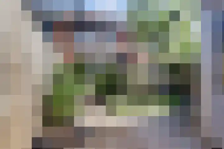 Bentinckshof 62 Meteren thumbnail 41