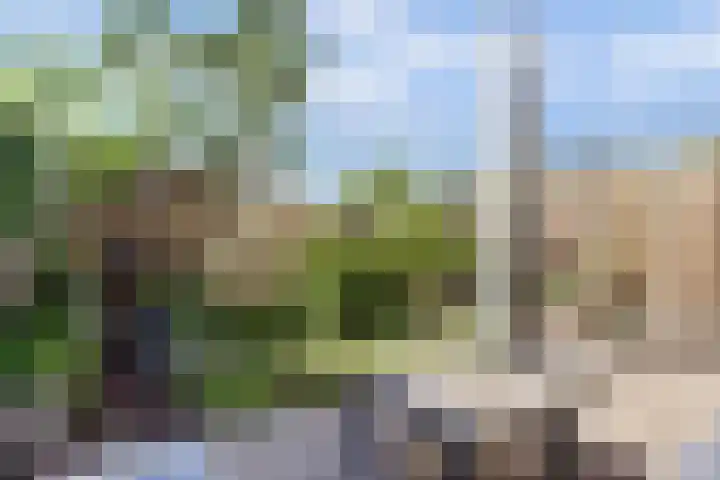 Bentinckshof 62 Meteren thumbnail 43