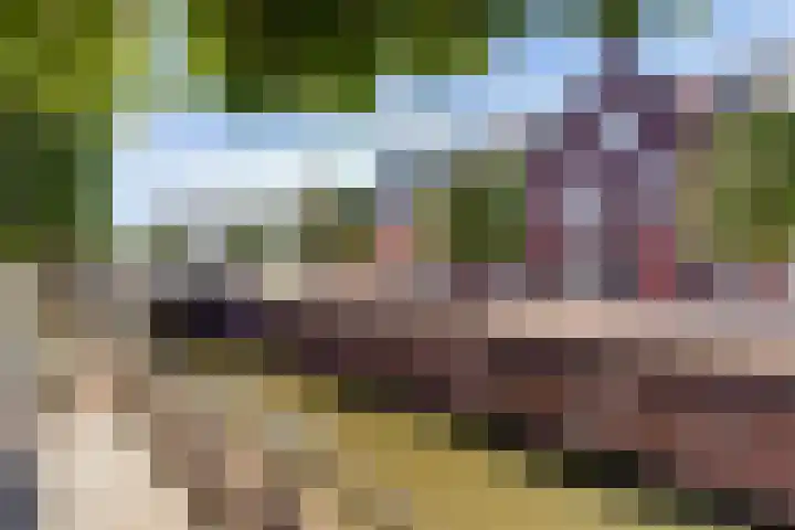 Bentinckshof 62 Meteren thumbnail 48