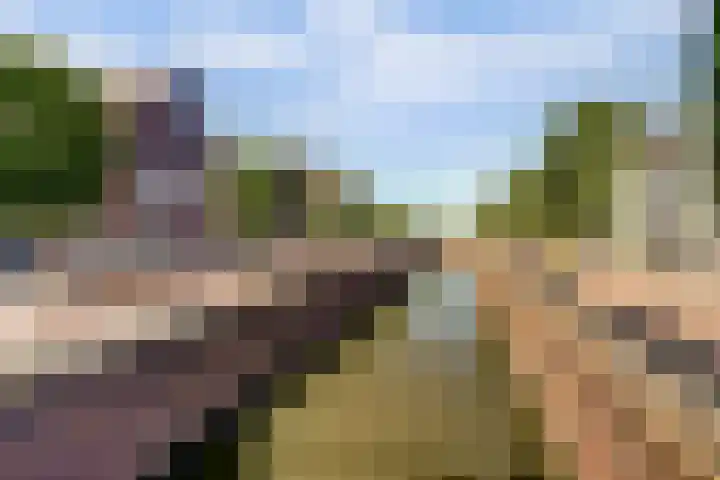 Bentinckshof 62 Meteren thumbnail 5
