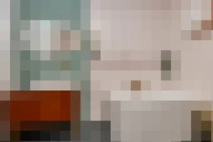 Bentinckshof 66 Meteren thumbnail 24