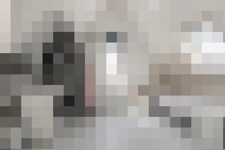 Bentinckshof 66 Meteren thumbnail 28