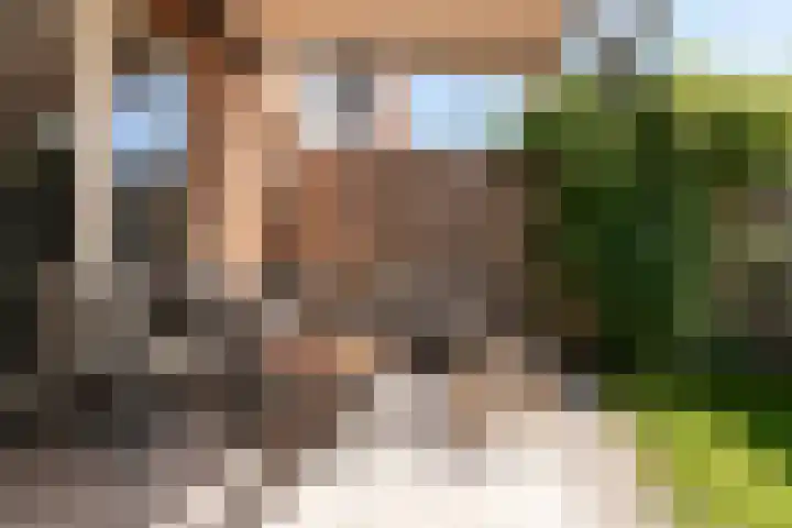 Bentinckshof 66 Meteren thumbnail 29