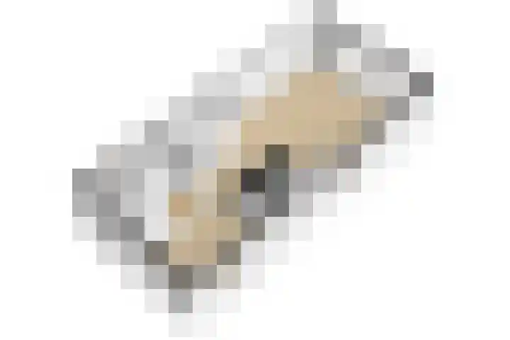 Bentinckshof 66 Meteren thumbnail 34