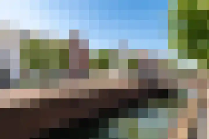 Bentinckshof 66 Meteren thumbnail 4