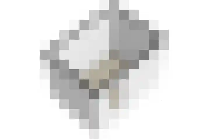 Bentinckshof 66 Meteren thumbnail 40