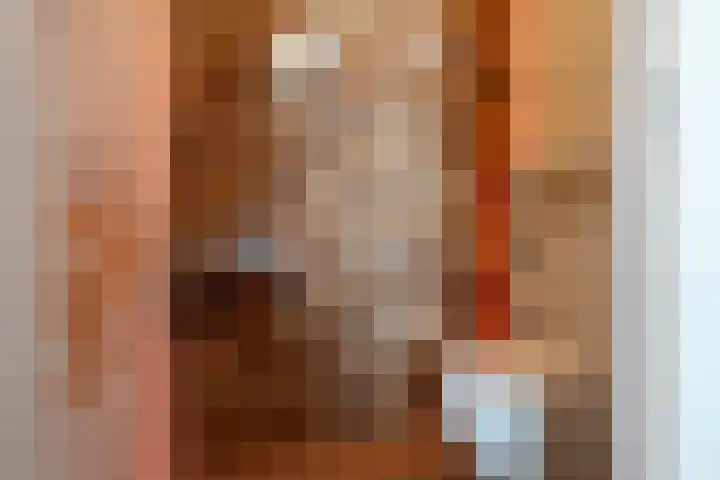 Bentinckshof 66 Meteren thumbnail 5