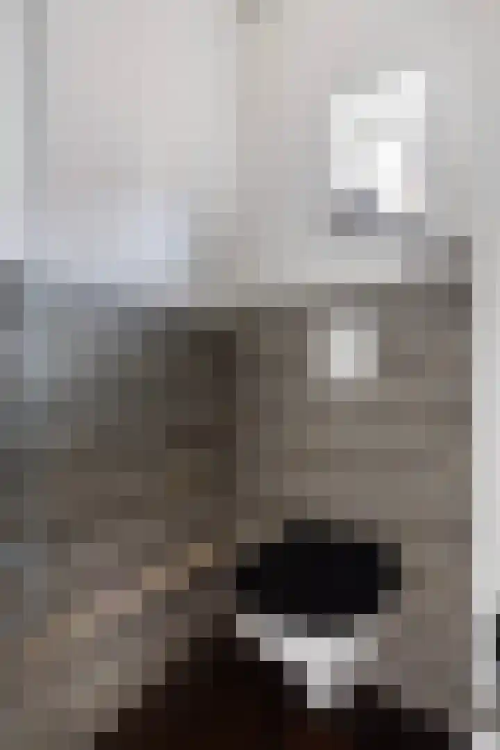 Bentinckslaan 106 Hoogeveen thumbnail 12