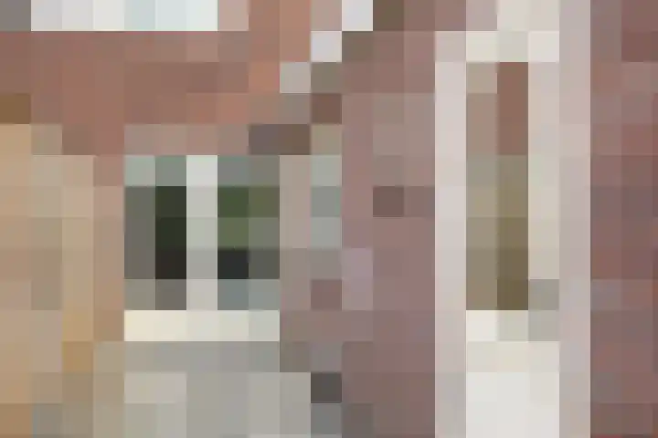 Bentinckslaan 106 Hoogeveen thumbnail 28