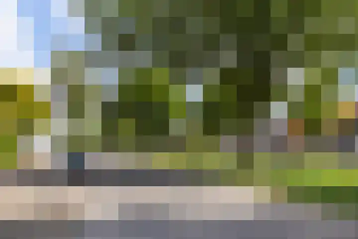 Bentinckslaan 106 Hoogeveen thumbnail 31
