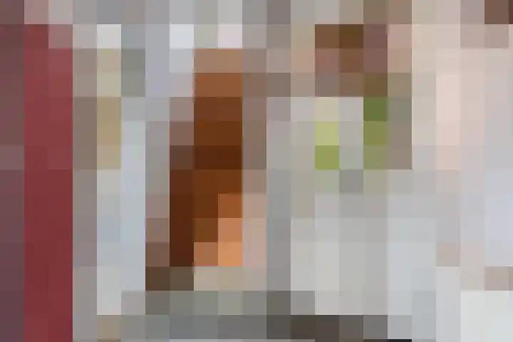 Bentinckslaan 106 Hoogeveen thumbnail 5