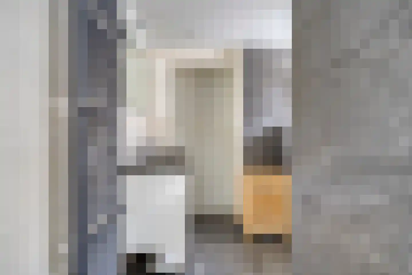 Bentinckslaan 129 Hoogeveen thumbnail 34
