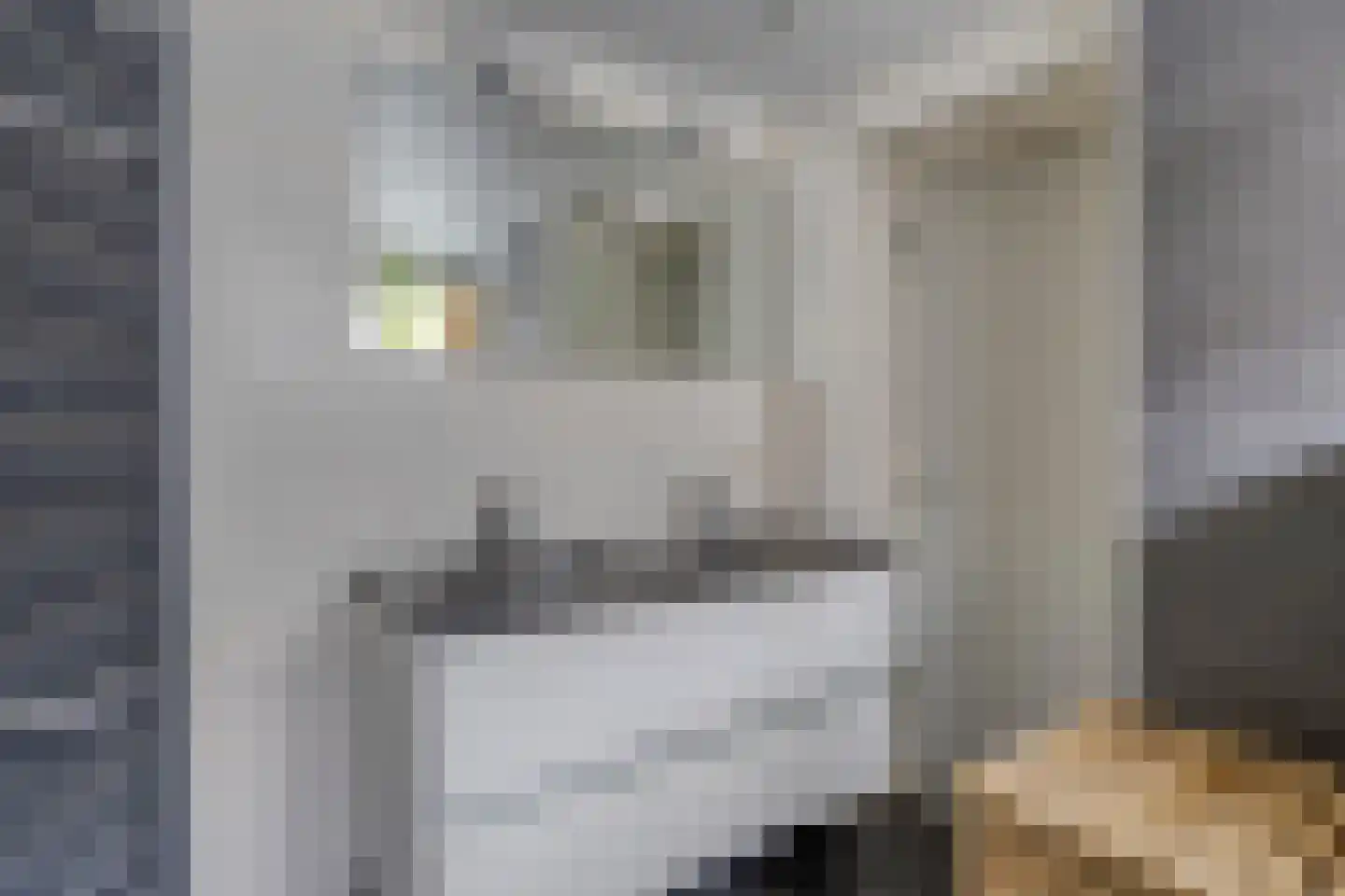 Bentinckslaan 129 Hoogeveen thumbnail 37