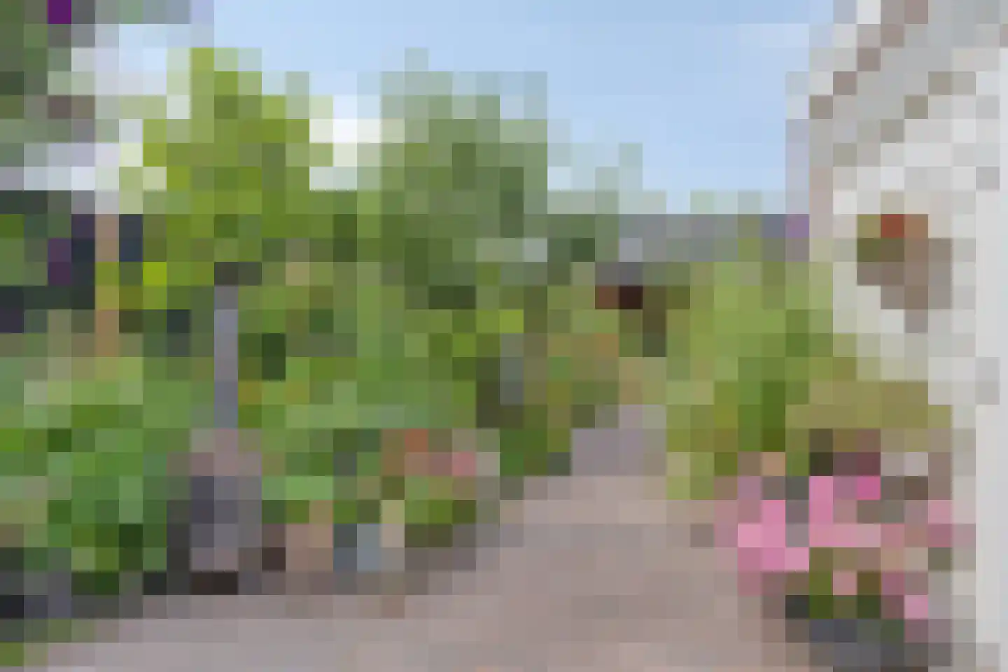 Bentinckslaan 129 Hoogeveen thumbnail 50