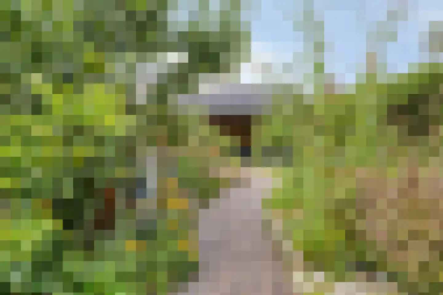 Bentinckslaan 129 Hoogeveen thumbnail 53